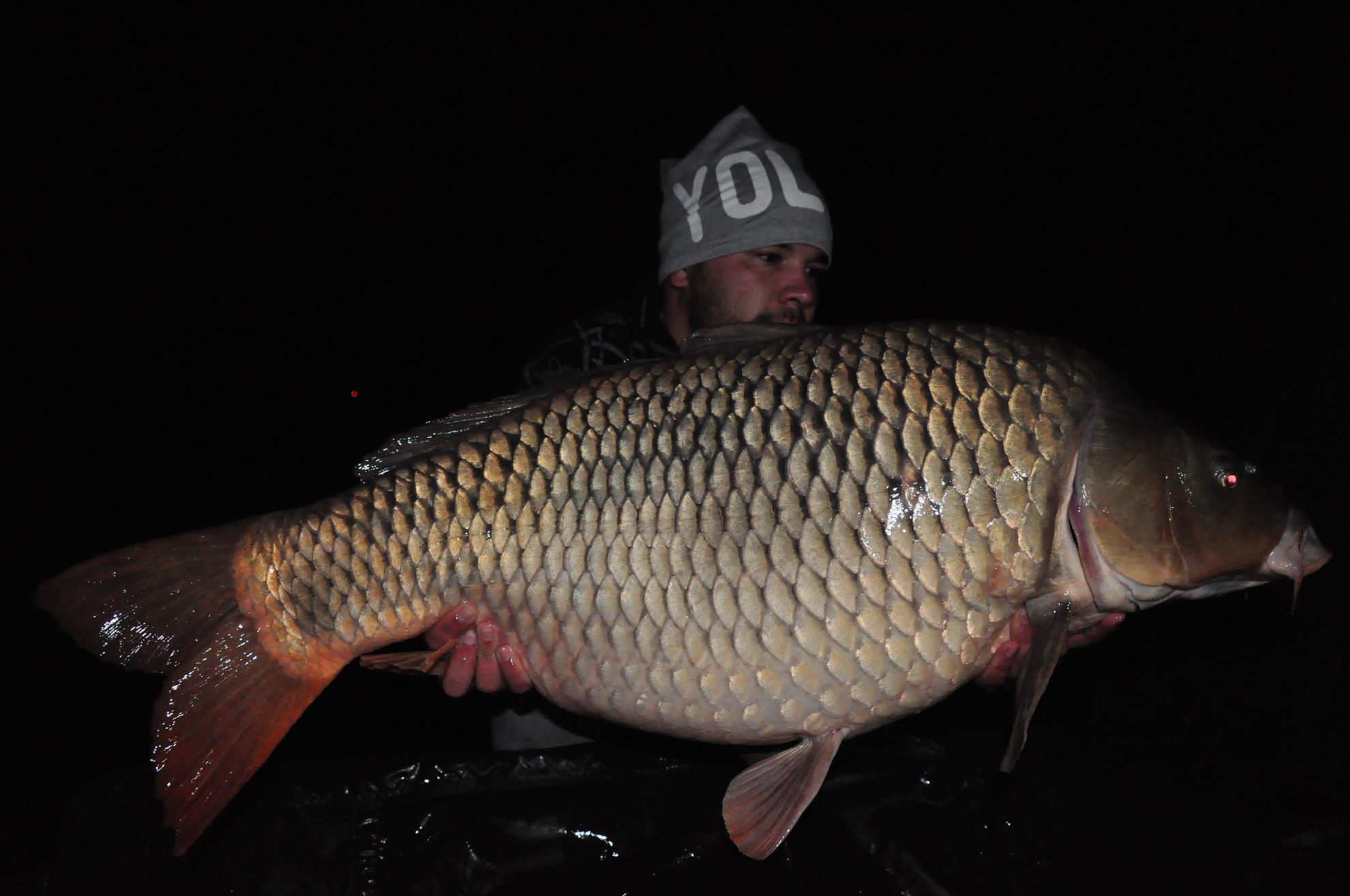 Varlaam 22 - 25 septembrie 2014